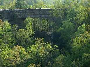 Click to see 14 Natural Bridge 2010.jpg
