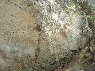 Click to see 19 Rock Garden Trail siderite porosity ridges 2010.jpg