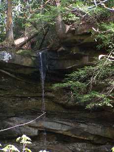 Click to see 32 Stop 4 Bell Falls Channel Fill 2010.jpg